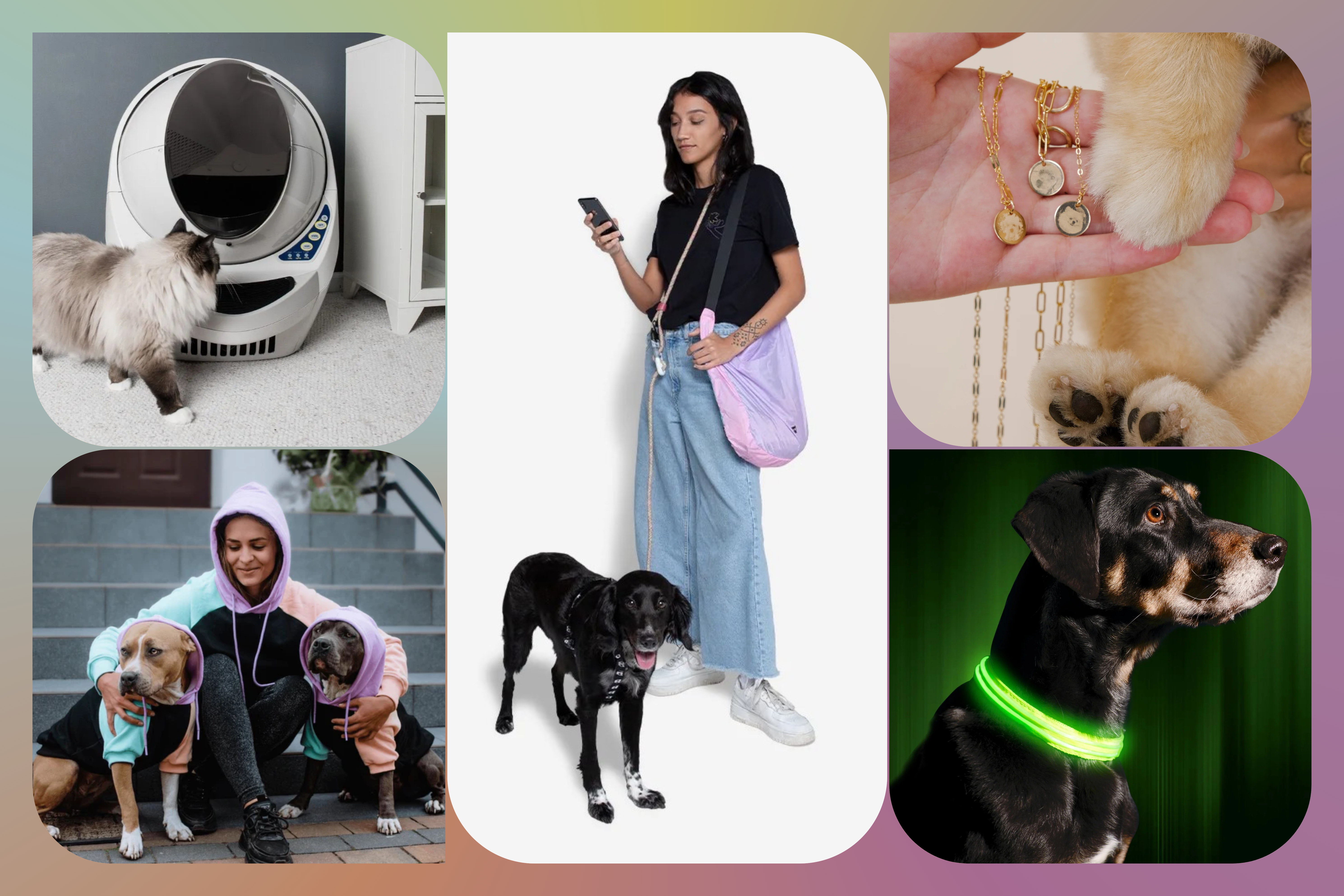 A composition of photos displaying various pet products